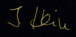Ina Hein Signature